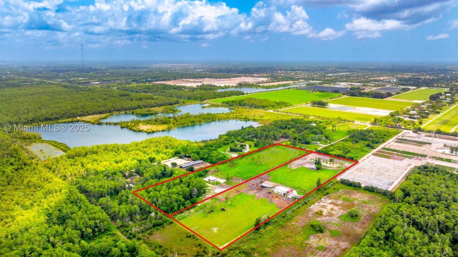 KING SOUTH KING NIEBEL TO - фото