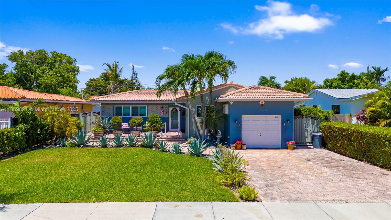 TREASURE ISLAND - фото