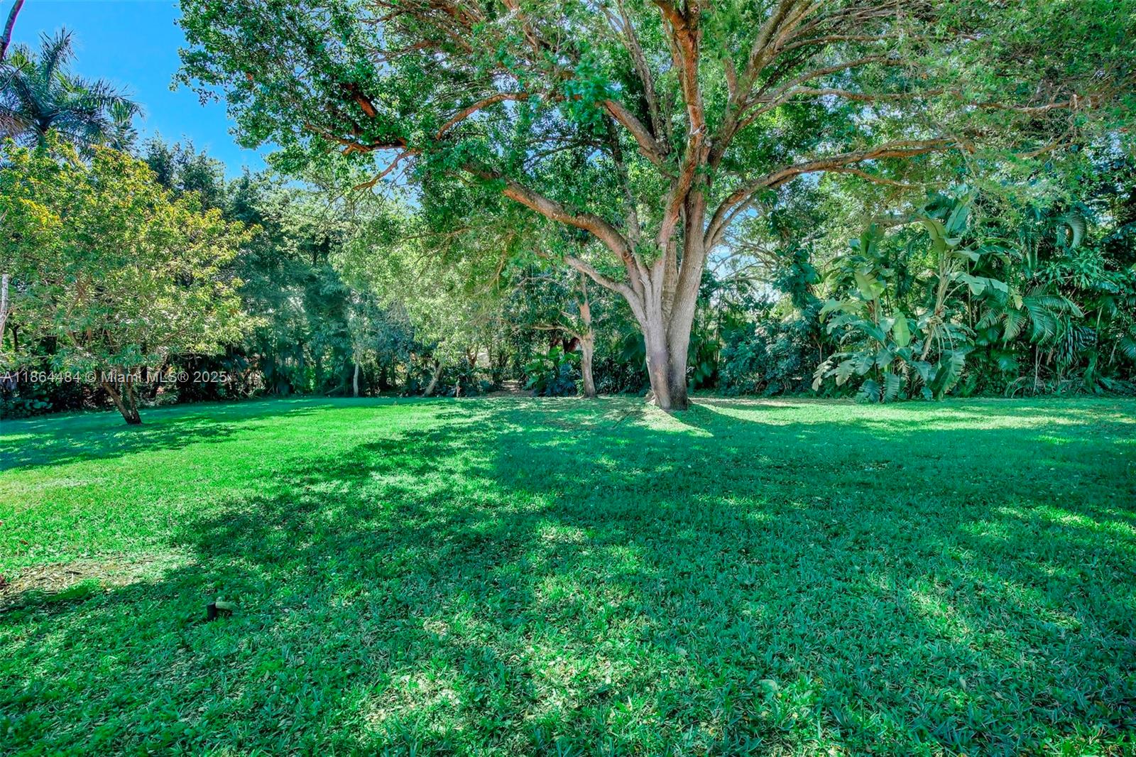 Single Family - фото