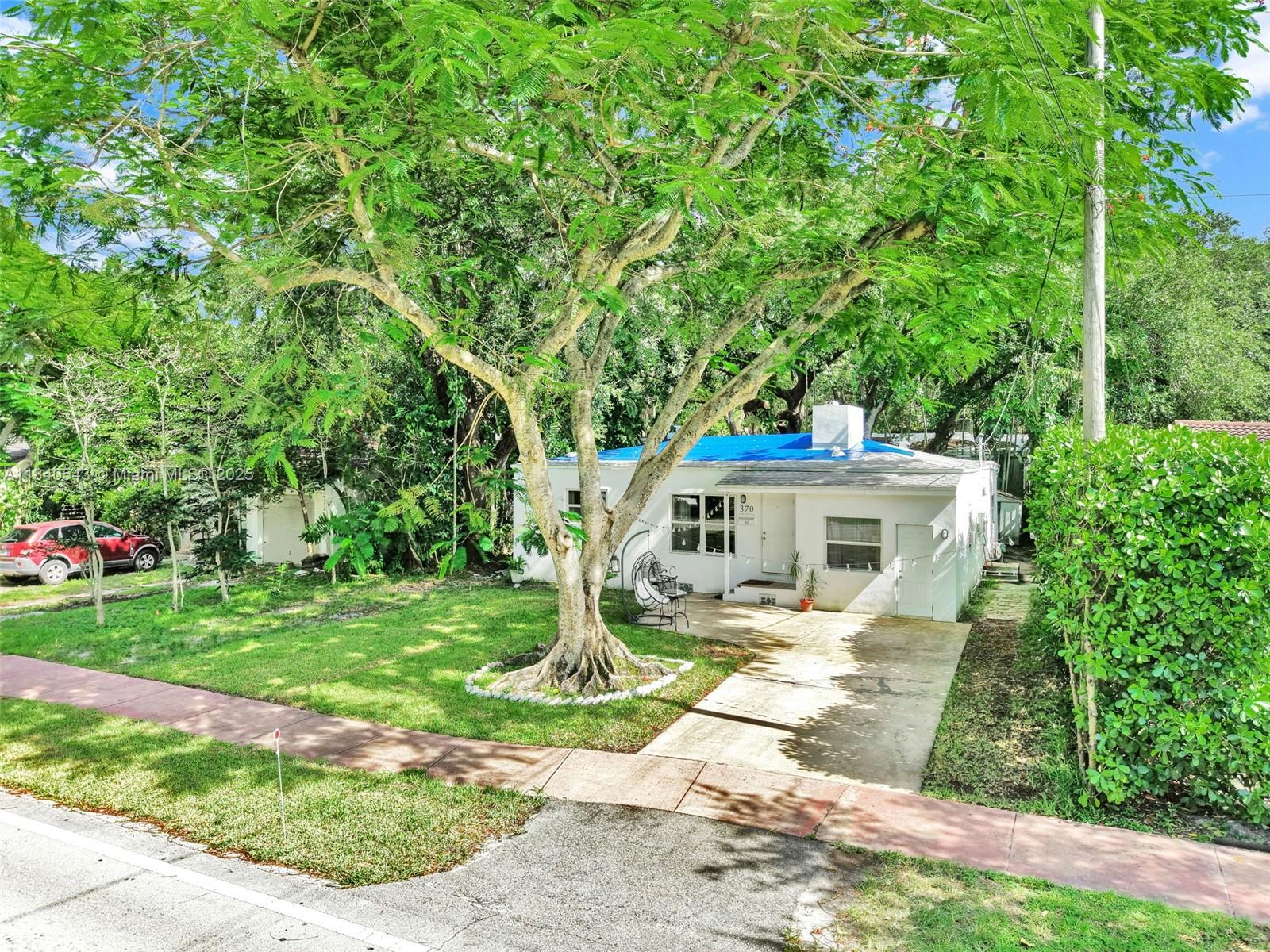 SHERWOOD FOREST - фото