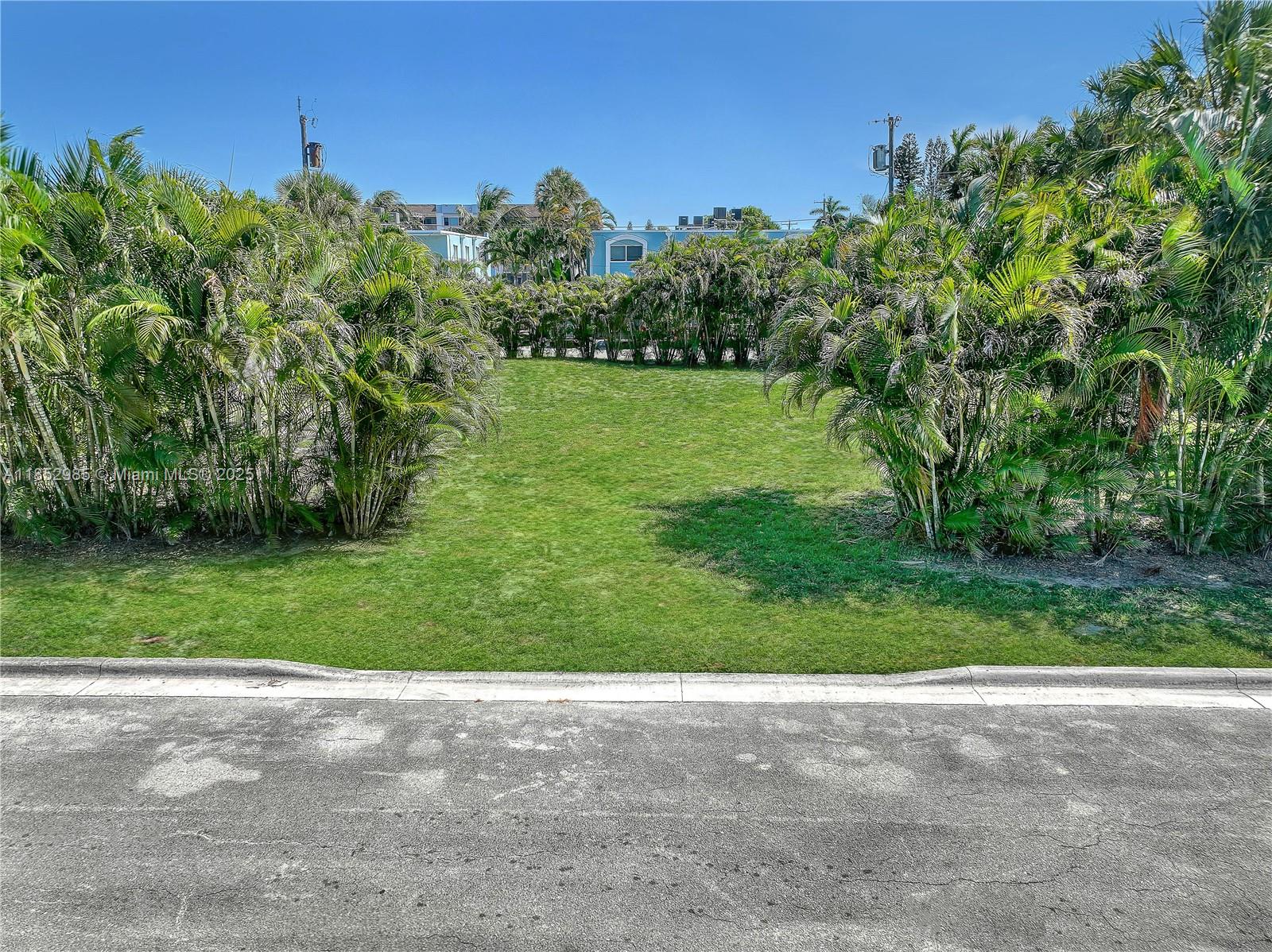 LAKESIDE PALMS - фото