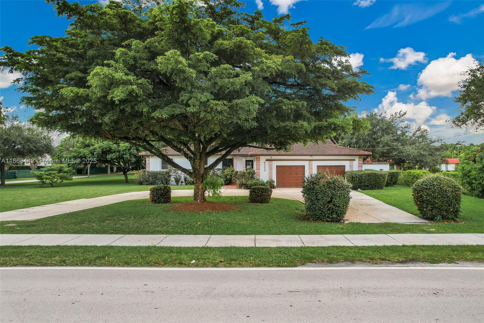 UNPLATTED - фото