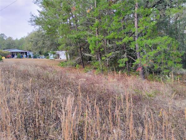 INTERLACHEN LAKES ESTATES