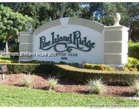 LIVE OAK 9 OF PINE ISLAND