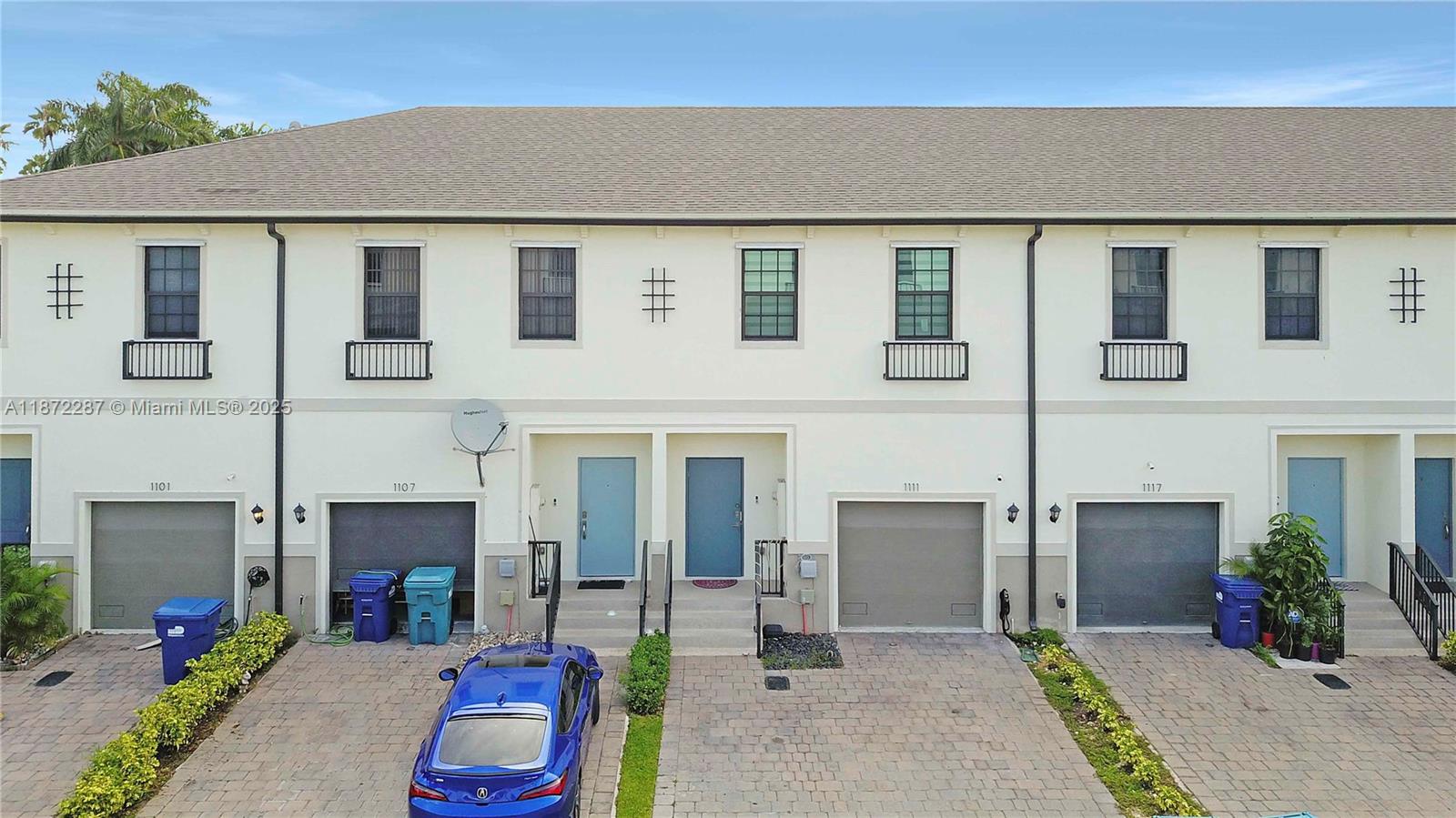 Regal Palm - фото