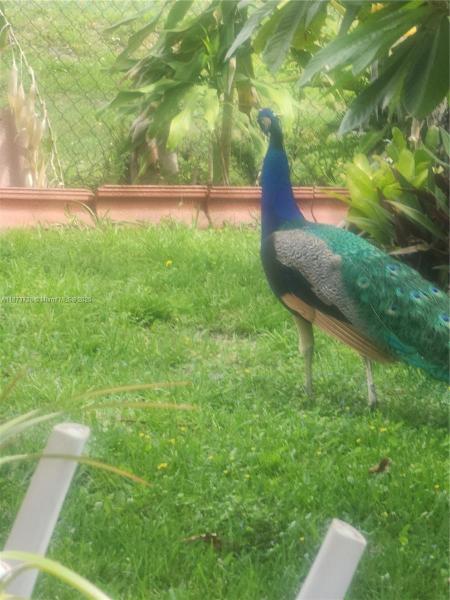 BELMONT HILLS UNIT 1