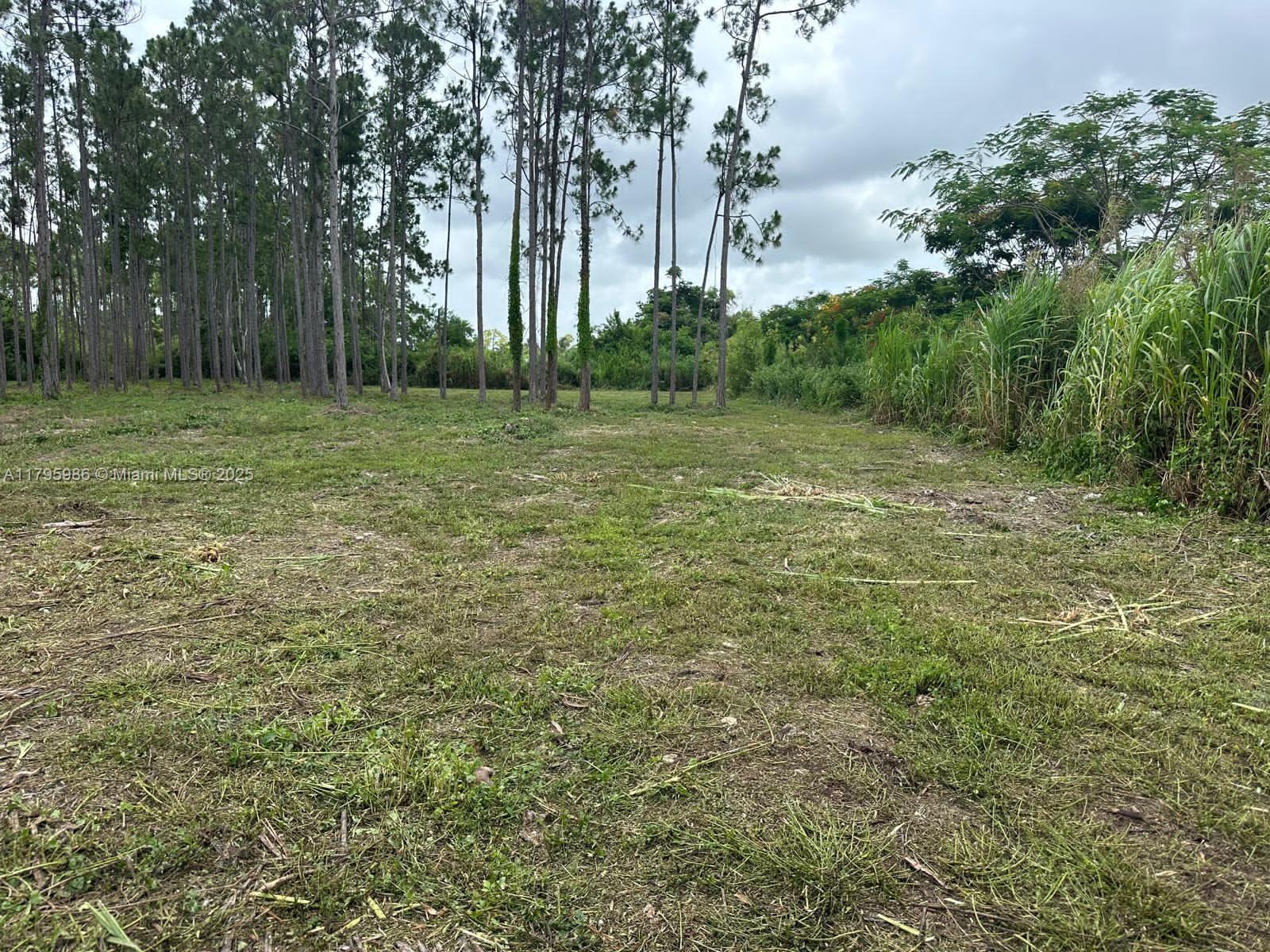 J L WADDY SUB - фото