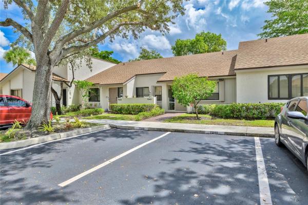 ALPINE WOODS OF JACARANDA