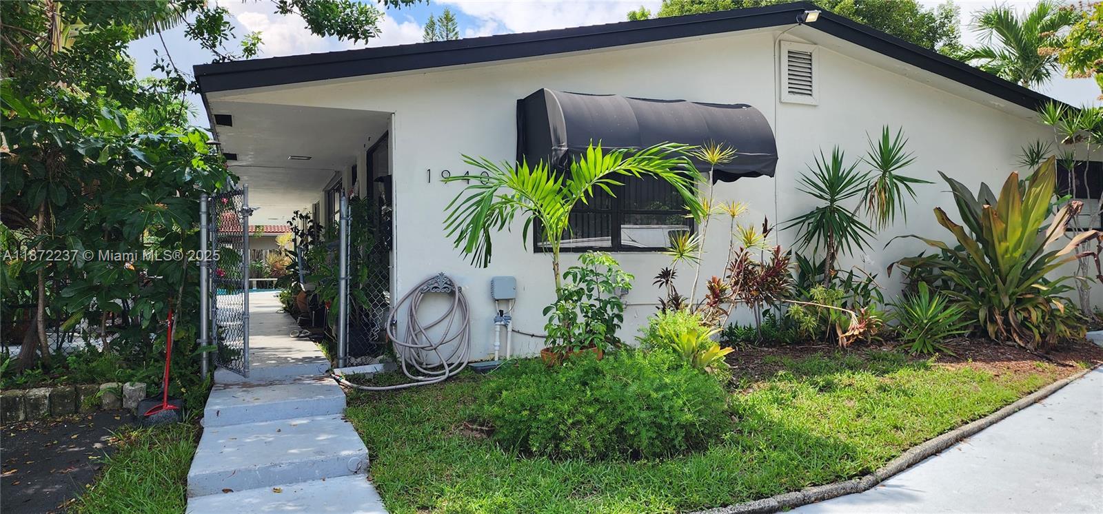 DOUGLAS PARK - фото