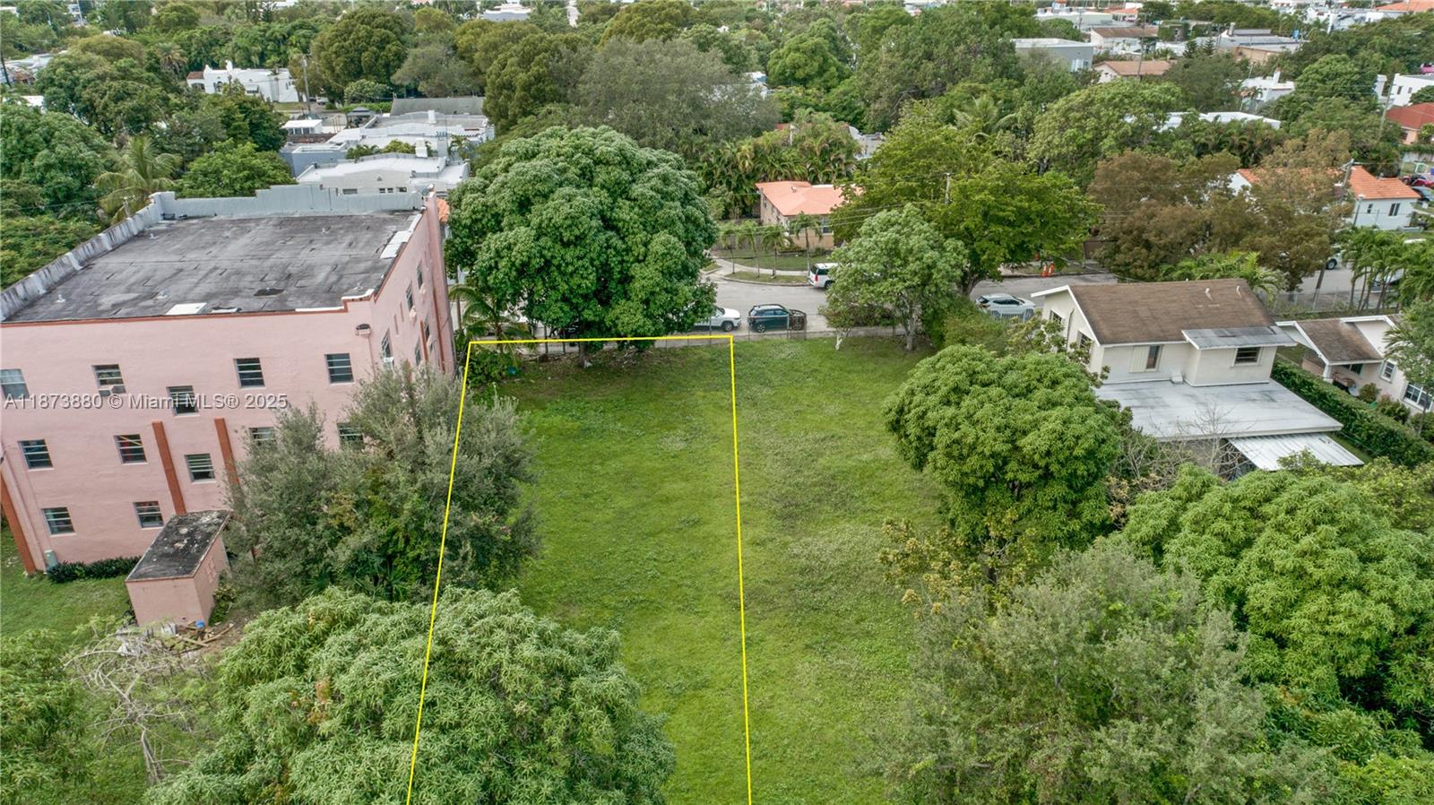 AVACADO PARK - фото