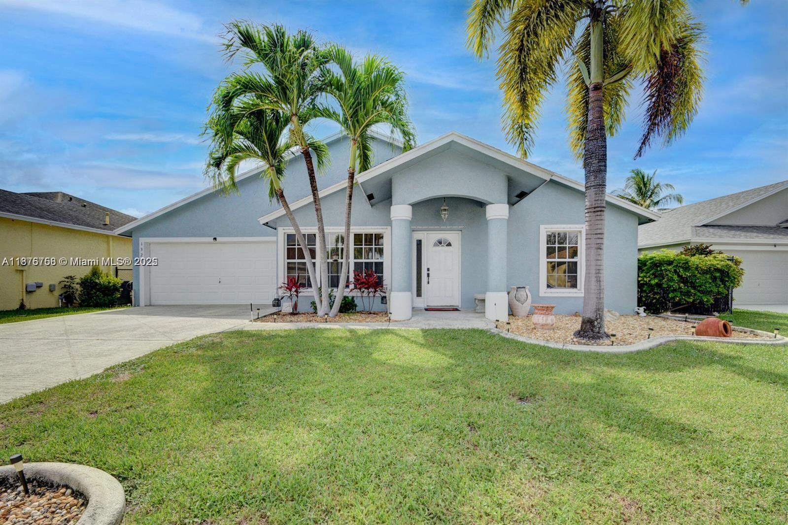 OLIVE TREE PAR 6C - фото