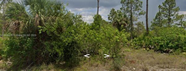 Lee County Unincorporated