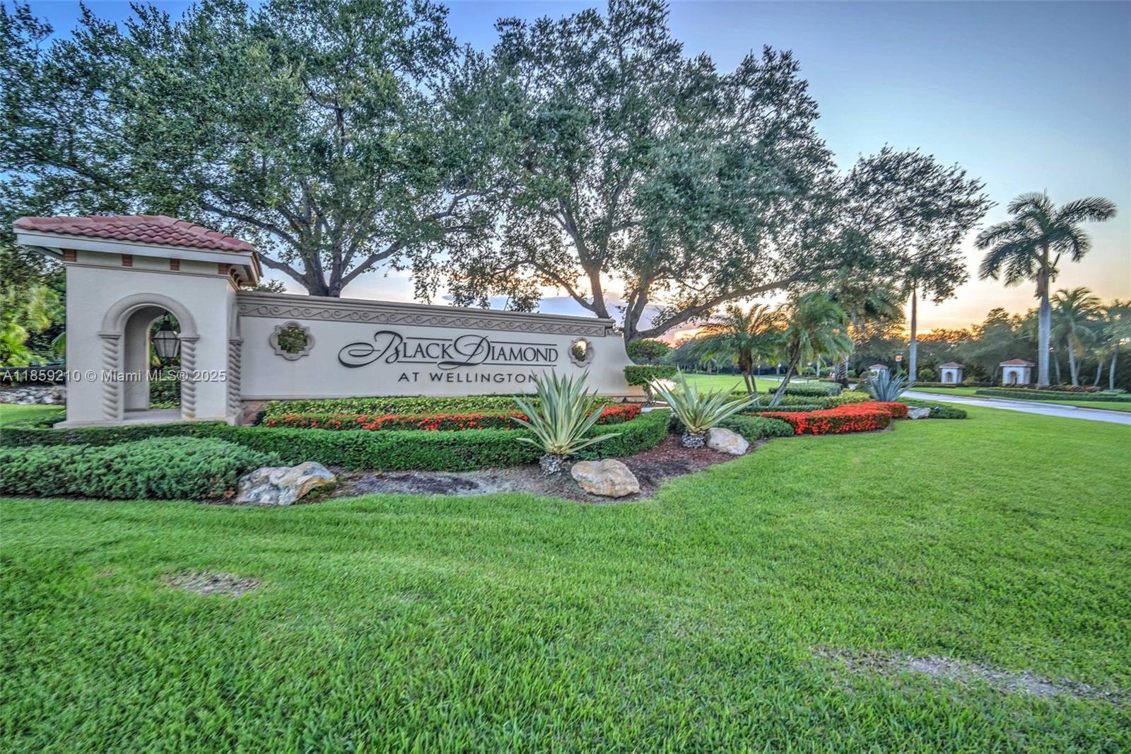 BLACK DIAMOND PH 1 - фото