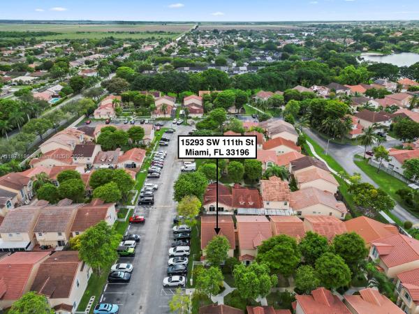 Jasmine At The Hammocks