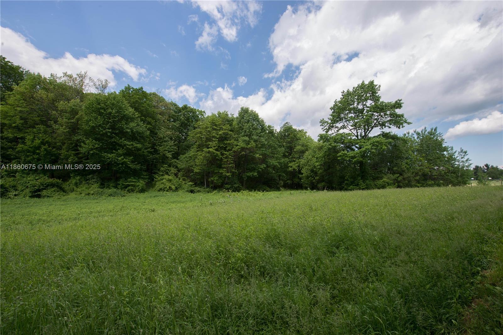 ATHOL SUB - фото