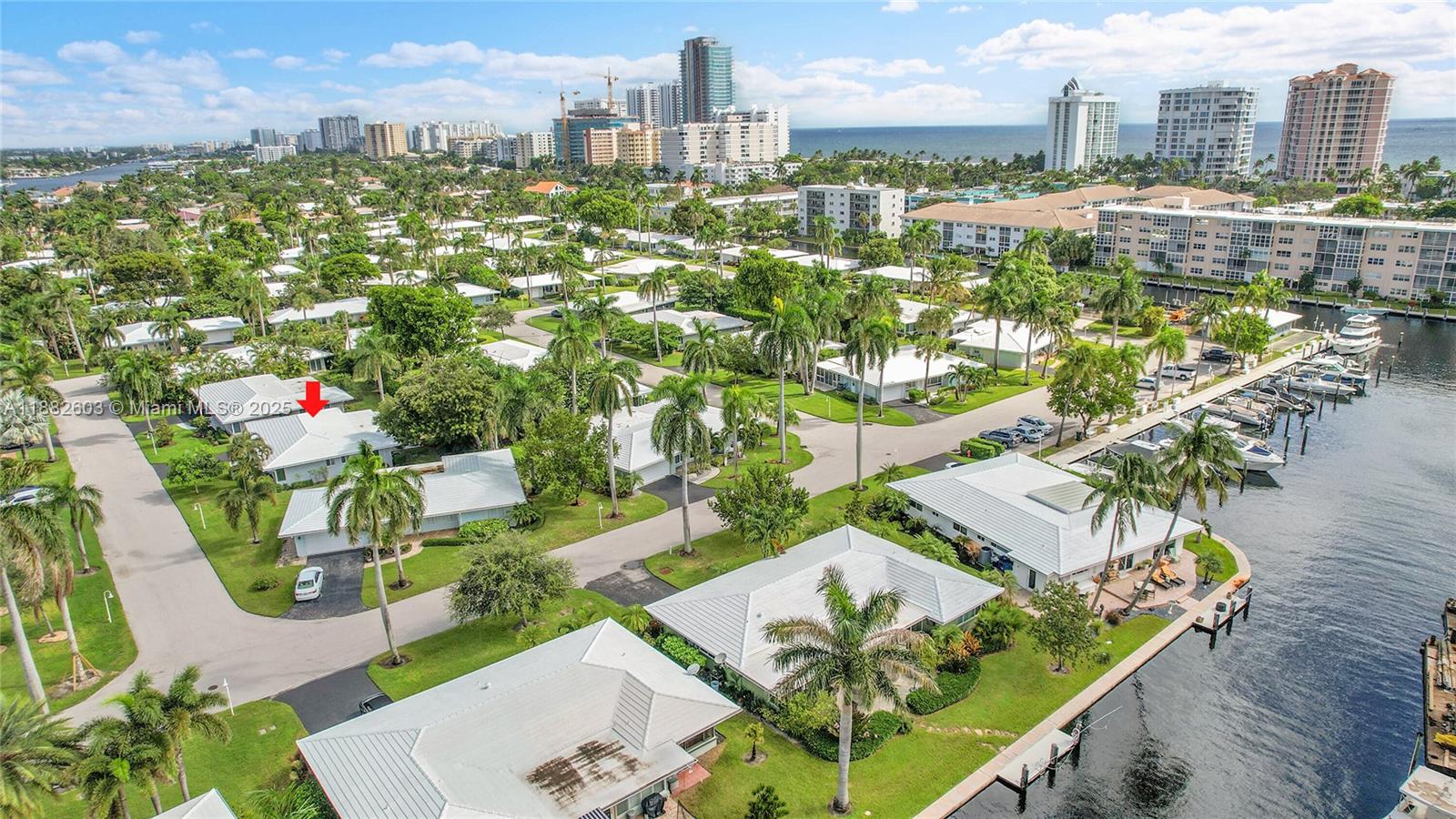 PALM CLUB CO-OP - фото