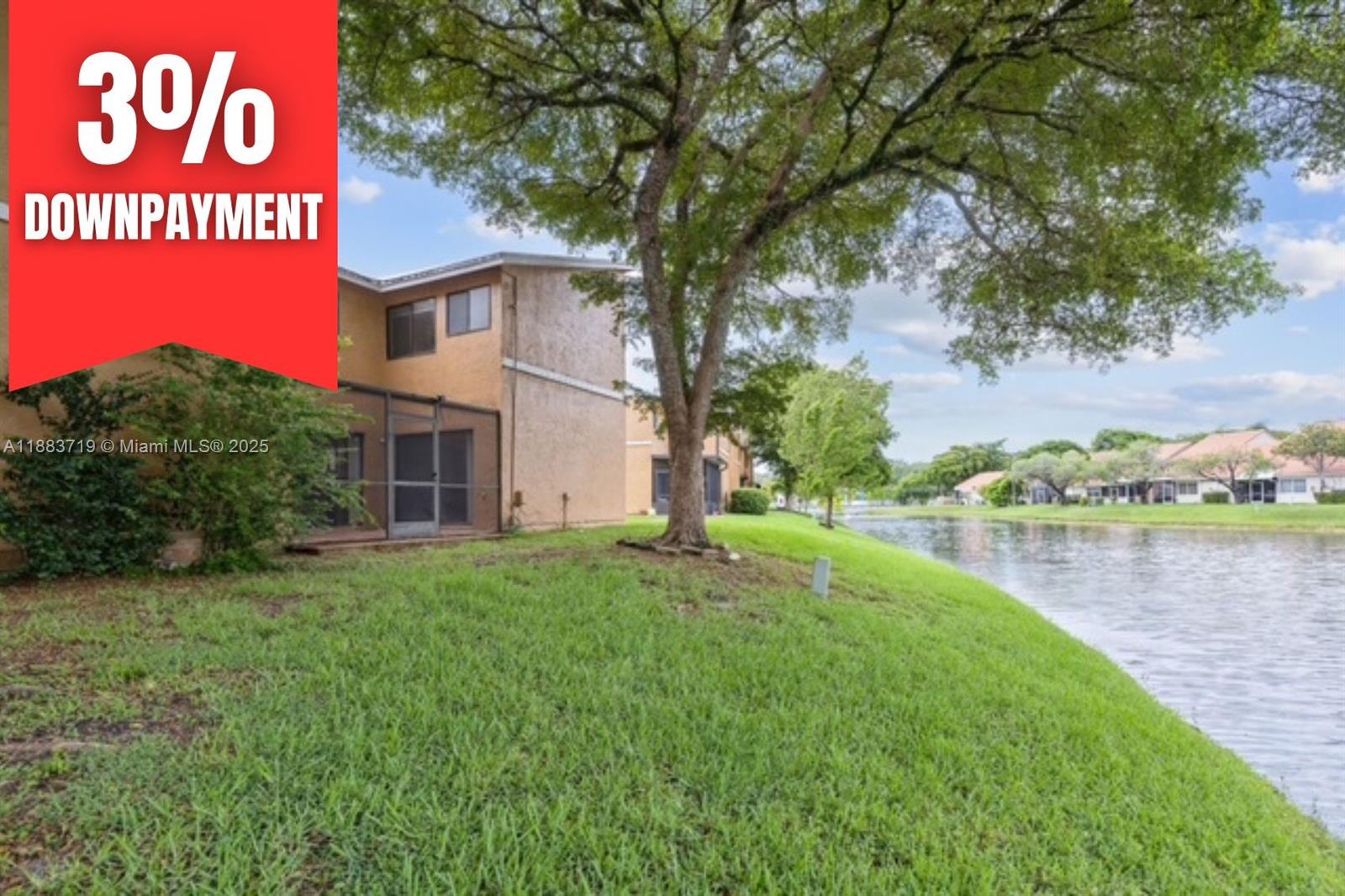 Pineapple Park - фото