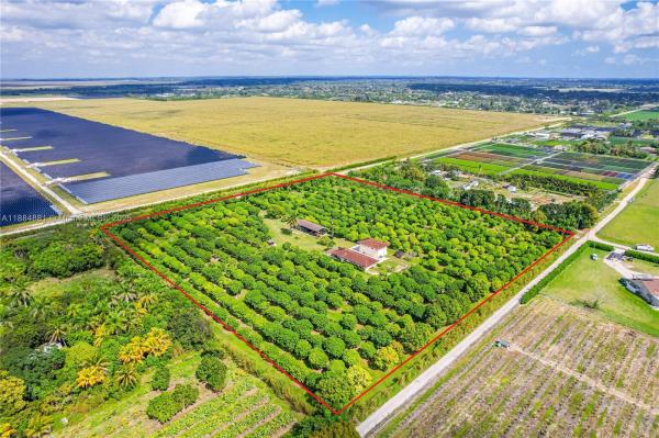 10 acre home/lychee grove