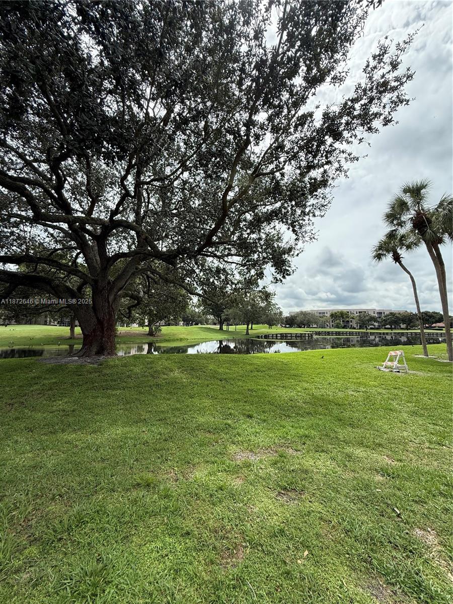 LIVE OAK CONDO ELEVEN - фото