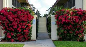 TOWNE GARDEN VILLAS CONDO